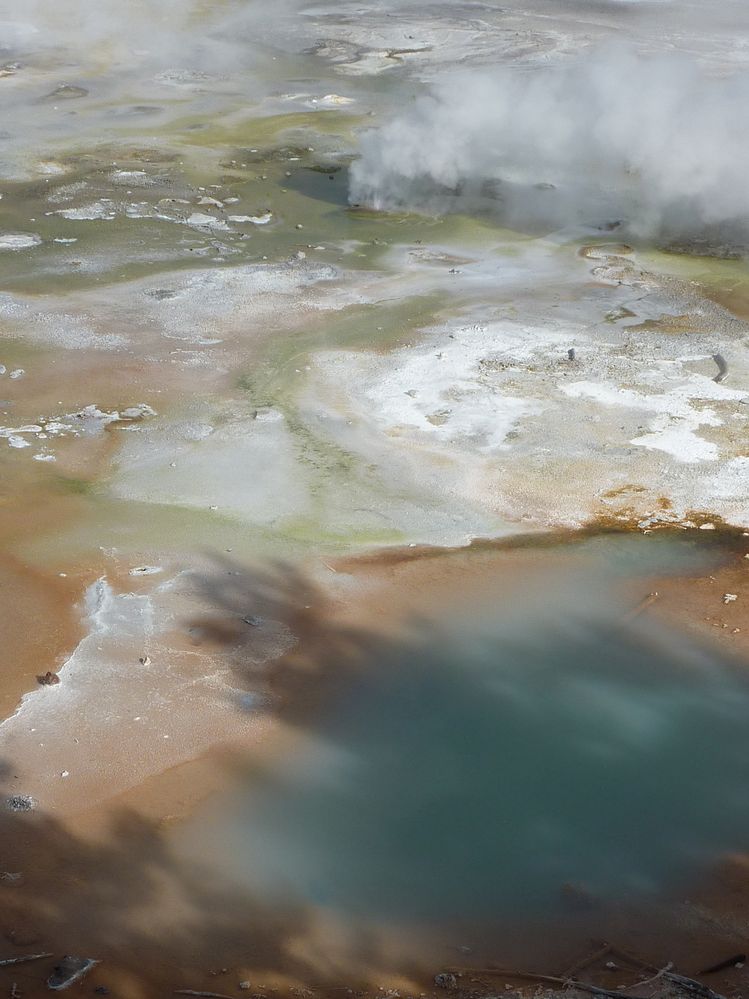 Yellowstone Norris Geyser (127).JPG
